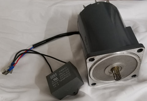 D100 - GEAR MOTOR